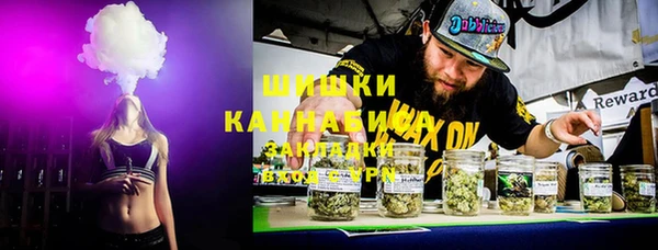 хмурый Богородицк
