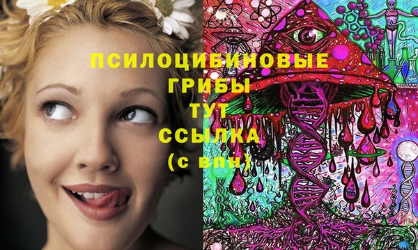 МДМА Богородск
