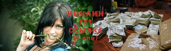 хмурый Богородицк